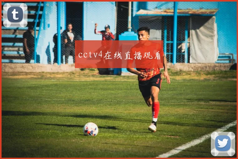 cctv4在线直播观看