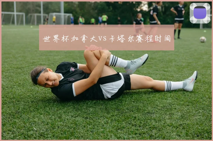 世界杯加拿大vs卡塔尔赛程时间